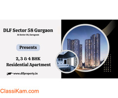 DLF Sector 58 Gurugram - Design Oriented Architecture