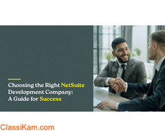 OpenTeQ  NetSuite Development Company | NetSuite Consulting