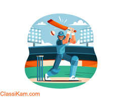 Streamlined Cricket API: Accessible, Reliable, and Up-to-Date