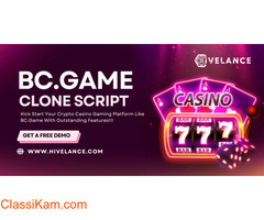 Transform Your Gaming Vision with Our BC.Game Clone Script !