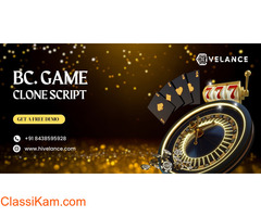 Your Next Big Venture! Learn How with Hivelance !