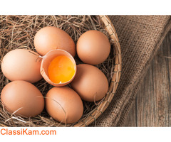 Egg Wholesale Price in Namakkal | Egg Wholesalers Namakkal
