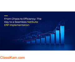 OpenTeQ NetSuite Implementation Consultant | NetSuite ERP Support