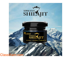 Oi Gong Himalayan Shilajit Resin in Chawla Colony 8588867475