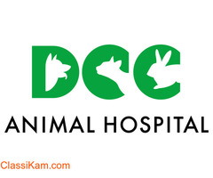DCC Animal Hospital & Petcare - Best Pet Clinic in South Delhi