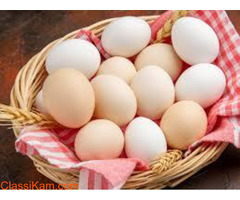 Namakkal Egg Production | Namakkal Egg Suppliers | Dealers