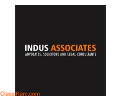 Best Divorce Advocate in Chennai | Indus associates