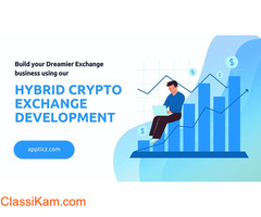 Cost of Developing Hybrid crypto exchange
