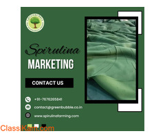 Spirulina Marketing | Innovative Marketing Solutions for Spirulina