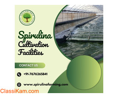 Spirulina Cultivation |  Sustainable Farming for Quality Spirulina