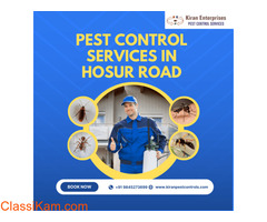 Pest Control Services in Hosur Road | Safe & Effective Solutions