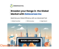 DataVersee Inc: A Leading Real-Time Import-Export Data Provider