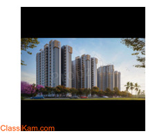 Invest in Embassy Verde: Modern Homes in Devanahalli, Bangalore