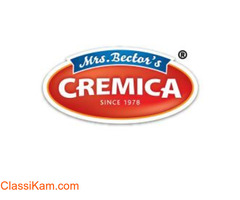 Buy Mustard Sauce Online