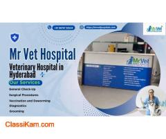 【﻿Ｐｅｔ　Ｈｏｓｐｉｔａｌ  ｉｎ　Ｈｙｄｅｒａｂａｄ】】