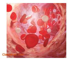 Restore Energy with Holistic Anemia Treatment