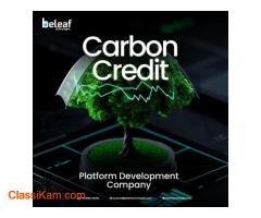 How Carbon Credit Platforms Empower Businesses