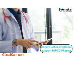 Importance and benefits of promotional Support