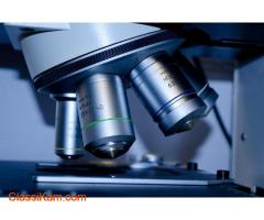 Discover Your Gut Health with a Gut Microbiome Test