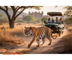 Jaipur And Ranthambore Tour Package