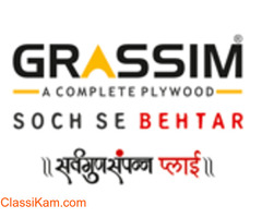 Grassim Plywood